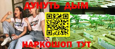 крисы Волгодонск
