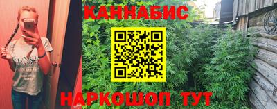 крисы Волгодонск