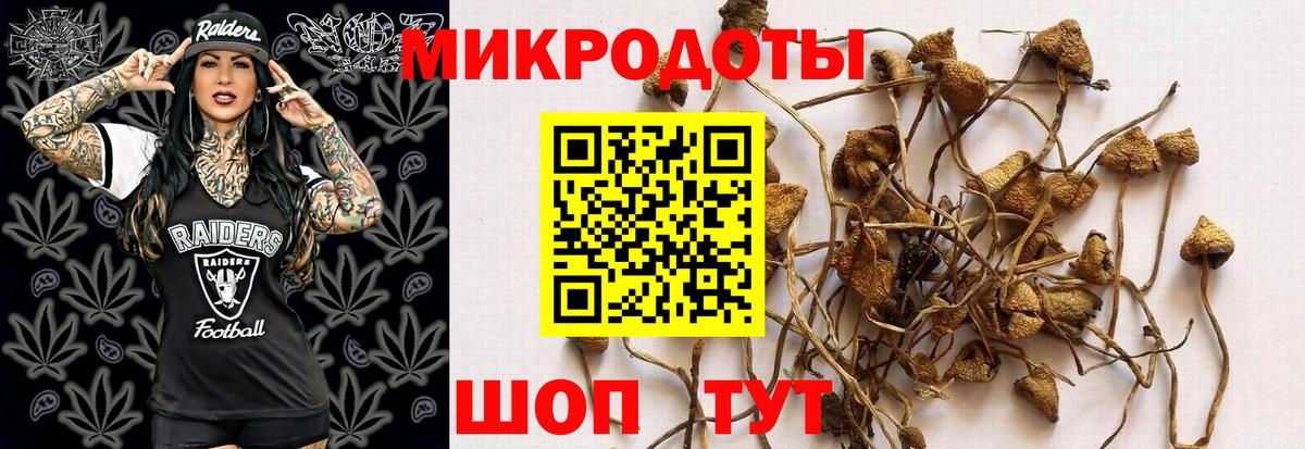 Галлюциногенные грибы мухоморы  Псилоцибиновые грибы Magic Shrooms  Хасавюрт  Вход с VPN 